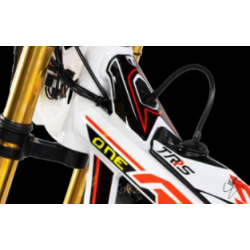 Adesivo Telaio Superiore TRS RR 2019